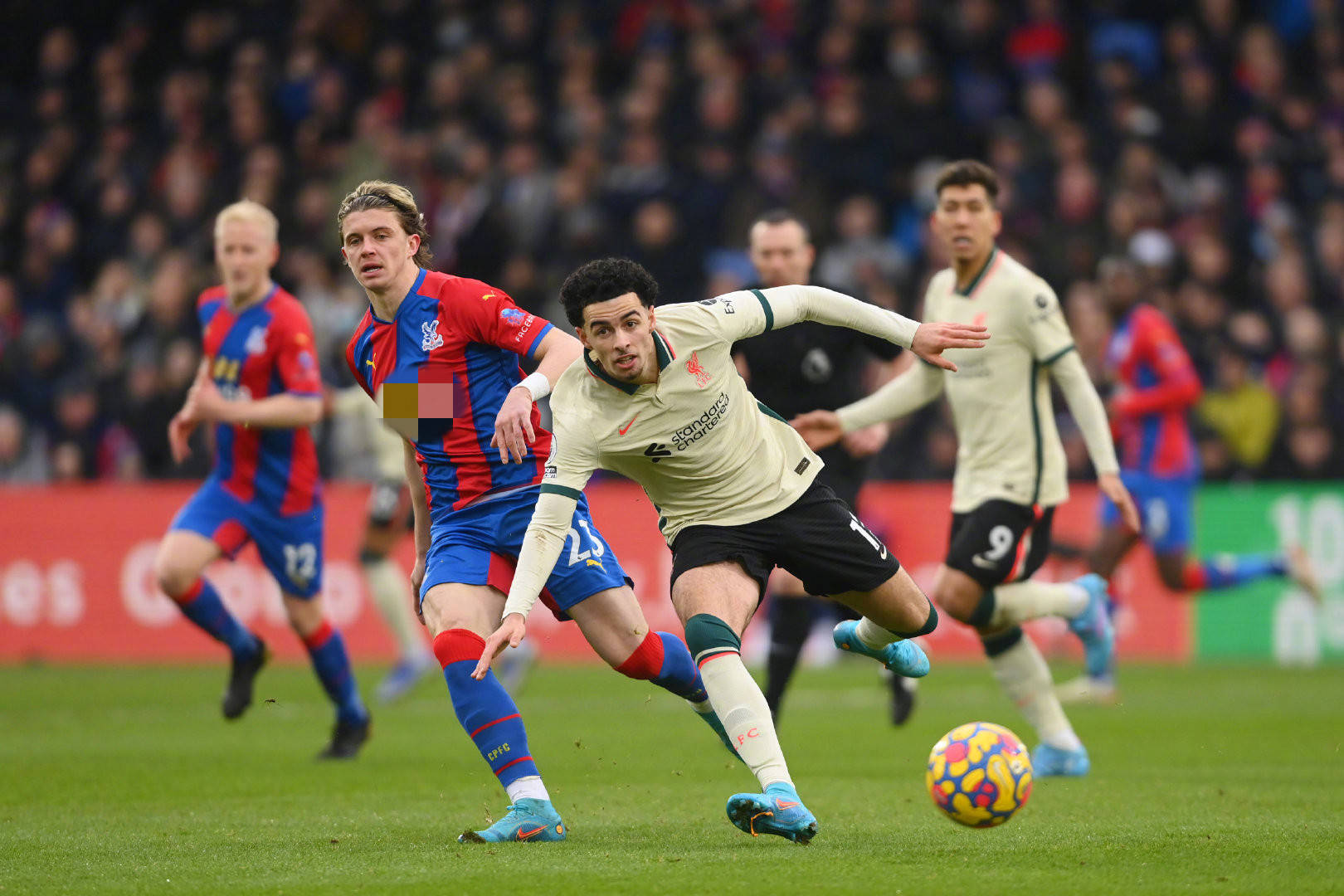 这些矿产资 这些矿产资